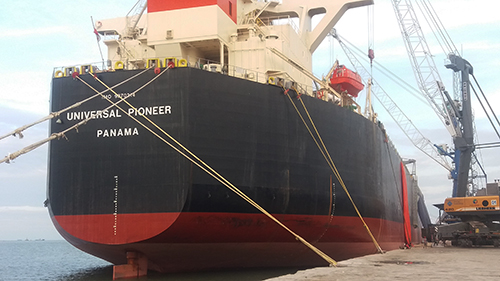 Kapal Cargo Mv.Universal Pioner Membongkar 24 Ribu Ton Soybean