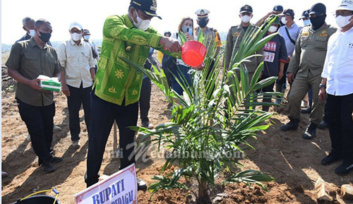Bupati Sergai Hadiri Tanam Perdana di Kebun Tanah Raja PTPN III