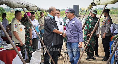 Peringati HUT ke 16 Brigif 4 MAR/BS, Syah Afandin Ikut Tanam Mangrove