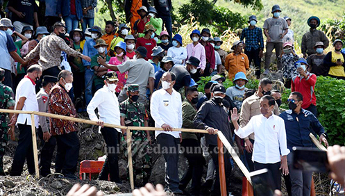 Gubernur Tanam Pohon Bersama Presiden, Pemprov Sumut Anggarkan Rp2 M Pengadaan Benih Macademia untuk Masyarakat