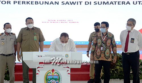 Bekerja Sama dengan KPK, Sumut Fokus Optimalkan Pendapatan dari Perkebunan Sawit