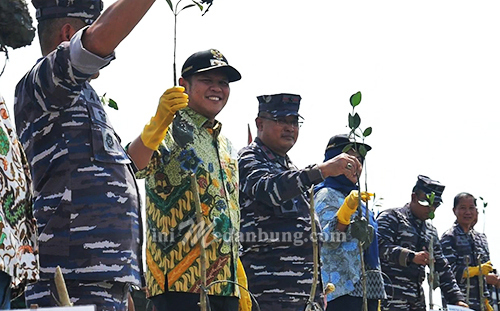 Berdayakan Wilayah Pesisir, Pemkab Sergai-Lantamal I Belawan Tanam 15 Ribu Pohon Mangrove