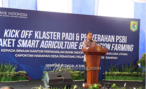 Pemkab Sergai-BI Sinergi Tingkatkan Kesejahteraan Petani