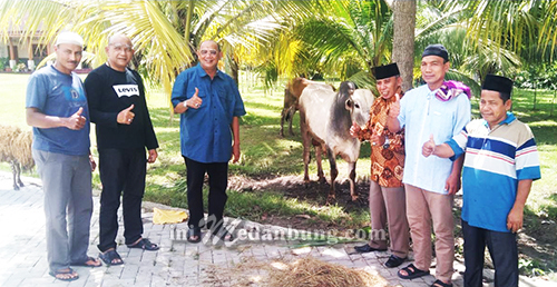 Plt Bupati Langkat & Keluarga Berqurban 7 Ekor Sapi