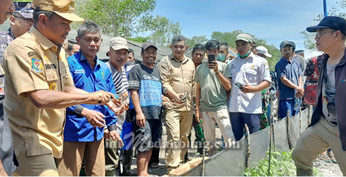 Pemkab Sergai-Lantamal Sinergi Hadapi Perubahan Iklim Lewat Penanaman Mangrove