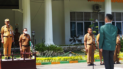 174 Mahasiswa FISIP USU, PKL di Padang Tualang Langkat