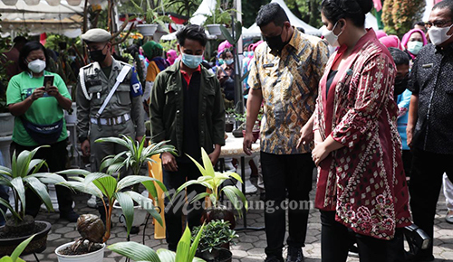 Pemko Medan akan Gelar Pekan Bursa Pameran Tanaman Hias