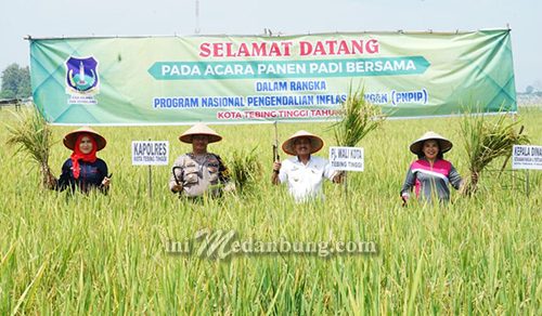 Panen Padi Bersama, Pj Wali Kota Tebing Tinggi Harap Menjaga Kestabilan Harga Stok Pangan