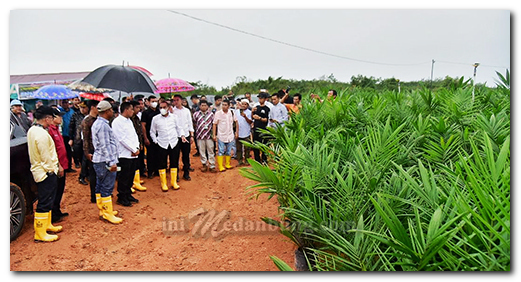 Gangguan Ginjal Akut Merebak, Edy Rahmayadi Pesan ke Orang Tua Perlu Ekstra Jaga Kesehatan Anak