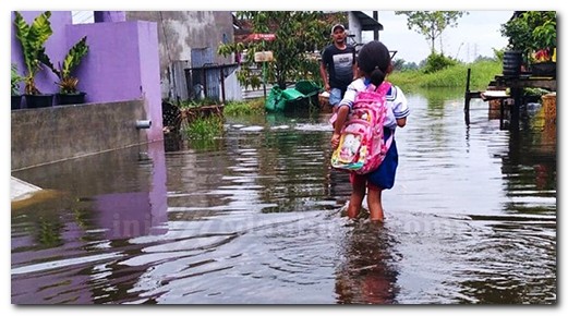 Banjir Air Pasang Rob dan Hujan Menggenangi Ribuan Rumah Pesisir Belawan