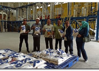 PT Dhirga Surya Butuh Tambahan Penyertaan Modal Rp 10 M, Lengkapi Peralatan Tanam dan Panen Gabah Petani