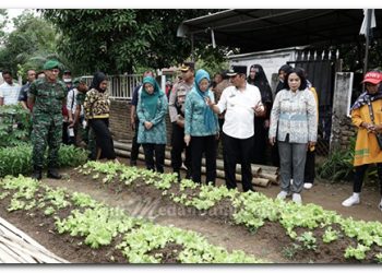 Kendalikan Inflasi dan Cegah Stunting, Satgas Pangan Kota Tebing Tinggi Gelar Tanam Tanaman Cepat Panen