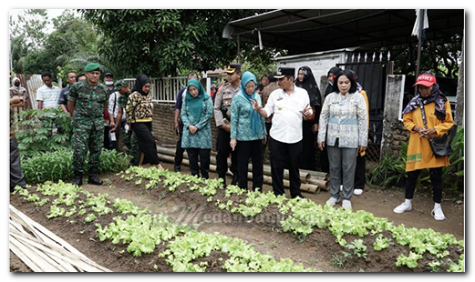 Kendalikan Inflasi dan Cegah Stunting, Satgas Pangan Kota Tebing Tinggi Gelar Tanam Tanaman Cepat Panen