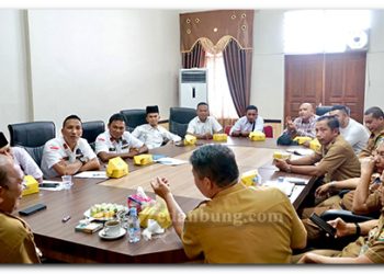 Plt Bupati Langkat H Syah Afandin Terima LPM
