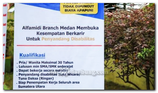 Pemko Medan Bentuk Tim Unit Layanan Disabilitas Ketenagakerjaan Kota Medan