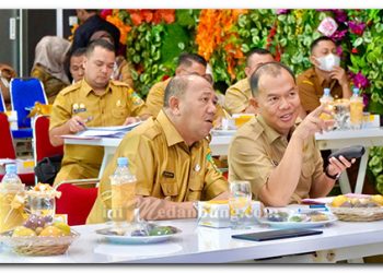 Syah Afandin Minta Jajaran Pemkab Langkat Segera Selesaikan MCP