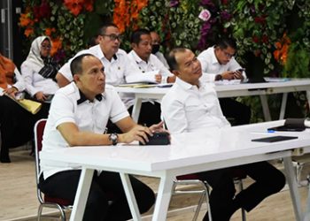 Pemkab Langkat Ikuti Sosialisasi Monitoring MCP Tahun 2023