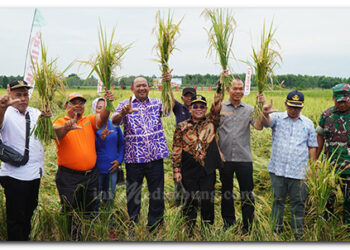 Hadiri Panen Raya di Kwala Mencirim, Petani Doakan Syah Afandin Pimpin Langkat di 2024-2029