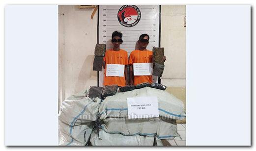 Sebanyak 133 Ganja Asal Aceh Digagalkan Polisi Saat Diedarkan di Medan