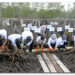 Pulihkan Hutan Mangrove, Pemprov Sumut Tanam 10 Ribu Bibit Mangrove
