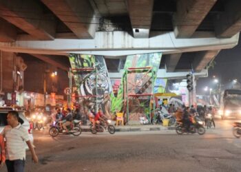 Karya Seni Mural Manca Negara Hiasi Pilar Flyover Amplas