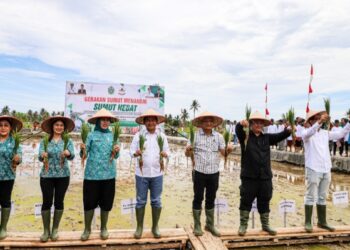 Pj Gubernur Sumut Ajak Masyarakat Kepulauan Nias Terus Perkuat Ketahanan Pangan