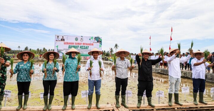 Pj Gubernur Sumut Ajak Masyarakat Kepulauan Nias Terus Perkuat Ketahanan Pangan