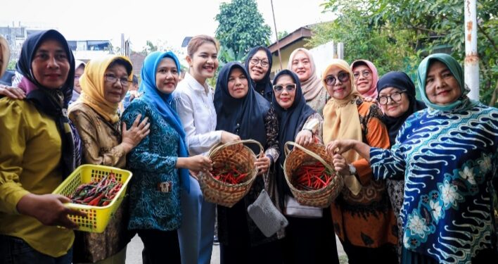 Bersama Kelompok Tani, Kahiyang Ayu Panen Cabai Merah