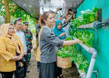 Kahiyang Ayu Apresiasi Inovasi Kelurahan Pulo Brayan Bengkel Baru