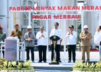 Dampingi Jokowi Resmikan Pabrik Minyak Makan, Pj Gubsu Sambut Baik Hilirisasi Berbasis Rakyat