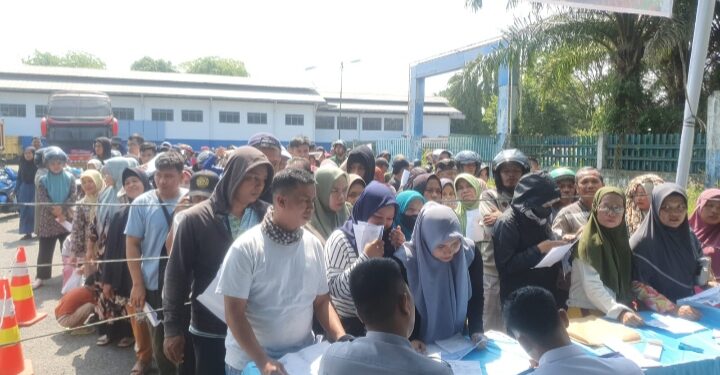 5.561 Orang Mendaftar di Hari Pertama Pendaftaran Mudik Gratis Pemko Medan