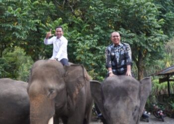 Faisal Hasrimy Ingin Wisata Tangkahan Lebih Harum di Nasional Maupun Mancanegara