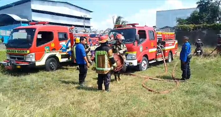 Belasan Hektar Hutan Kosong Milik Pelindo Terbakar di Gabion Belawan