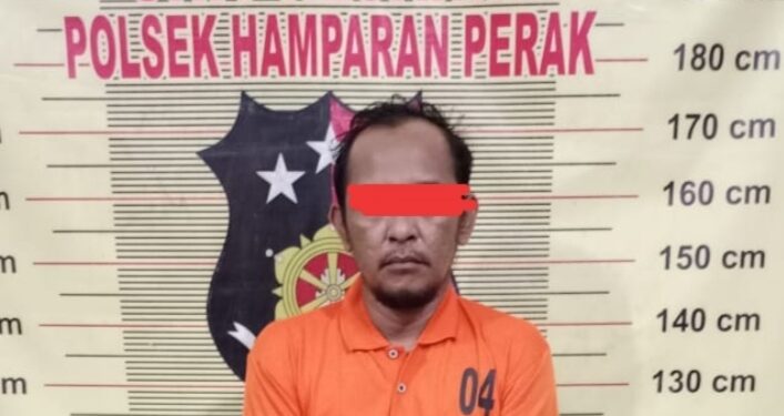 Bandar Sabu Paya Bakung Digari Petugas Polsek Hamparan Perak