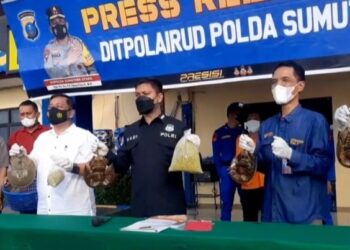 Ditpolairud Poldasu Musnahkan 1.600 Blangkas akan Diseludupkan ke Malaysia