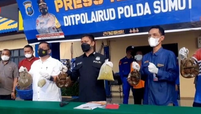 Ditpolairud Poldasu Musnahkan 1.600 Blangkas akan Diseludupkan ke Malaysia