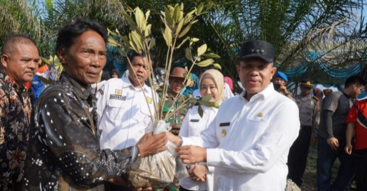 Peringati Hari Lingkungan Hidup, Pj Bupati Langkat Faisal Hasrimy Tanam 11.000 Pohon Mangrove di Kecamatan Brandan Barat
