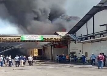 Pabrik PT Musim Mas di Tanjung Mulia Medan Terbakar