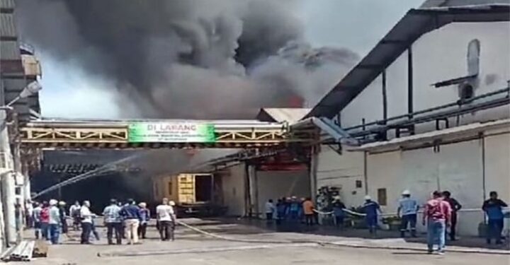 Pabrik PT Musim Mas di Tanjung Mulia Medan Terbakar