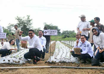 Pj Gubernur Agus Fatoni Komitmen Jaga Kedaulatan Pangan Sumut   