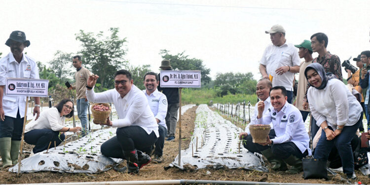 Pj Gubernur Agus Fatoni Komitmen Jaga Kedaulatan Pangan Sumut   