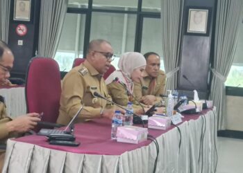 Kemendagri Apresiasi Kinerja Pj. Bupati Langkat Faisal Hasrimy atas Penanganan Stunting dan Inflasi