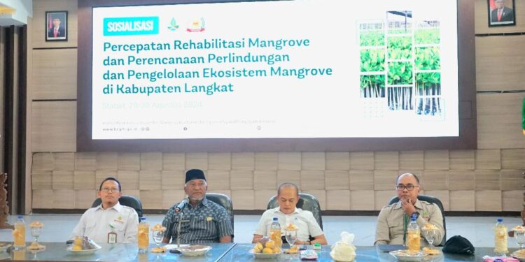 Langkat Tegaskan Komitmen Pelestarian Lingkungan: Pj Bupati Dukung Percepatan Rehabilitasi Mangrove