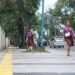 Pasca Rehabilitasi Trotoar, Pejalan Kaki Kini Merasa Lebih Aman dan Nyaman