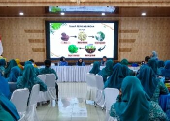 Pemko Medan Gandeng TP PKK Kembangkan Budidaya Microgreen dan Potensi Kewirausahaan