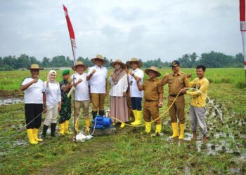 Pj Bupati Langkat Luncurkan Program “Bis LIPIN”: Dorong Efisiensi Listrik di Sektor Pertanian untuk Pengendalian Inflasi