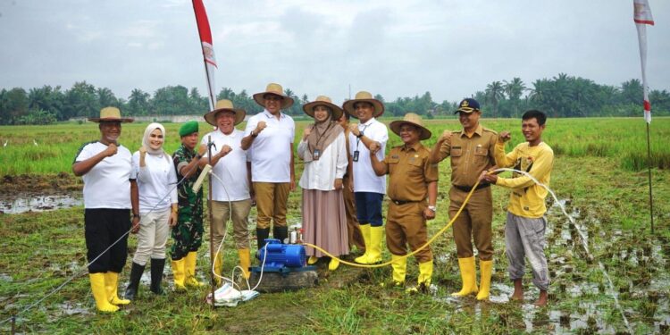 Pj Bupati Langkat Luncurkan Program “Bis LIPIN”: Dorong Efisiensi Listrik di Sektor Pertanian untuk Pengendalian Inflasi