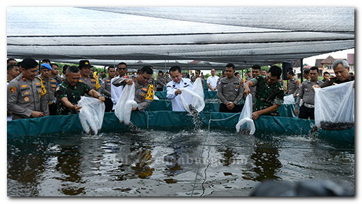 Wujudkan Kemandirian Pangan di Sumut, Pj Gubernur Minta Optimalkan Pemanfaatan Lahan Kosong