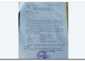 Pendaftaran Calon PPPK 2024 Disdik Aceh Besar Diduga Banyak Pelanggaran Maladministrasi