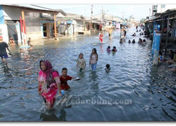 Tiga Kecamatan Medan Utara Belasan Ribu Perumahan Direndam Banjir ROB 2,7 Meter